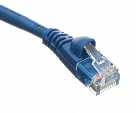150Ft Cat 6A Shielded Indoor/Outdoor Ethernet Cable